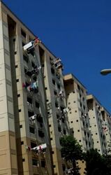 Blk 264 Bukit Batok East Avenue 4 (Bukit Batok), HDB 4 Rooms #546280221